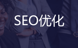 【SEO入门基础知识】什么是SEO搜索引擎优化？