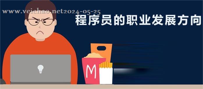 对程序员的职业发展有什么建议呢？